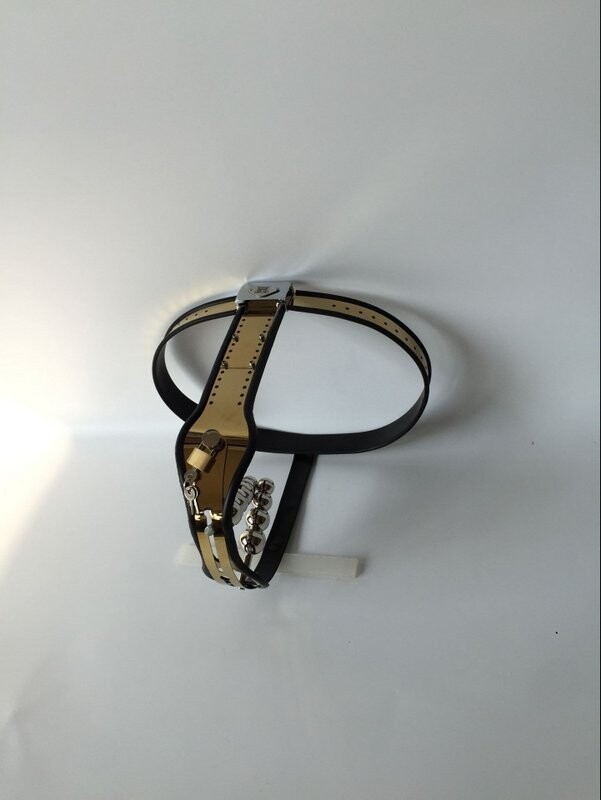 Stainless Steel Female Chastity Device Adjustable Model-T Chastity Belt Restraint Devices SM Bondage with Anal Vagina Plug Chastity Pants