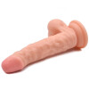 6.7'' Venis Ventouse Dildo Dong avec des Boules - Jouets Sexuels Réalistes pour Débutants 