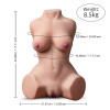 Poupées sexuelles vibrantes à succion automatique Torso féminin 8,5 kg/18,73 lb