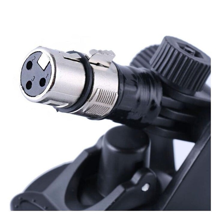 3XLR Dildos Holder Suction Cup Fixed Bracket With Female 3XLR Connector