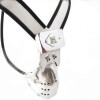 Adjustable Male Chastity Device with Cock Cage New Chastity Devices for Men bdsm Sex Toy