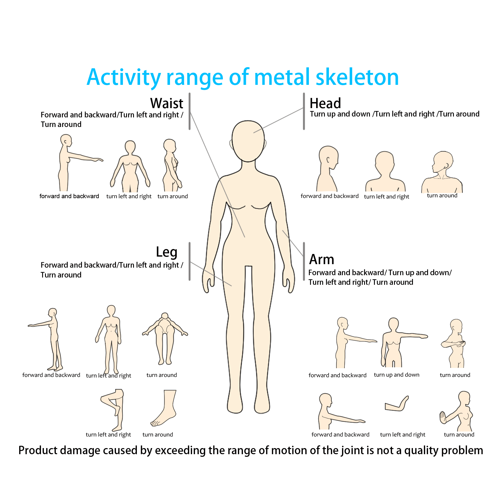 5.51ft/168cm Realistic Sex Doll with Metal Skeleton & Large Breasts – Full Body